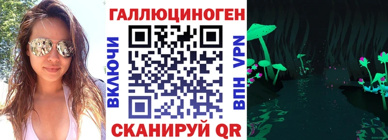 Псилоцибиновые грибы Psilocybine cubensis Кола